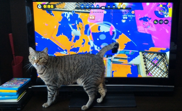 スプラトゥーンと猫のティガ