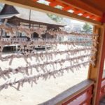 おみくじの順番で吉の位置は?結ぶ・結ばない?何回も引くのはアリ?