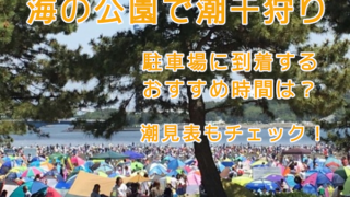海の公園で潮干狩り。駐車場は何時に到着する?潮見表のチェックも
