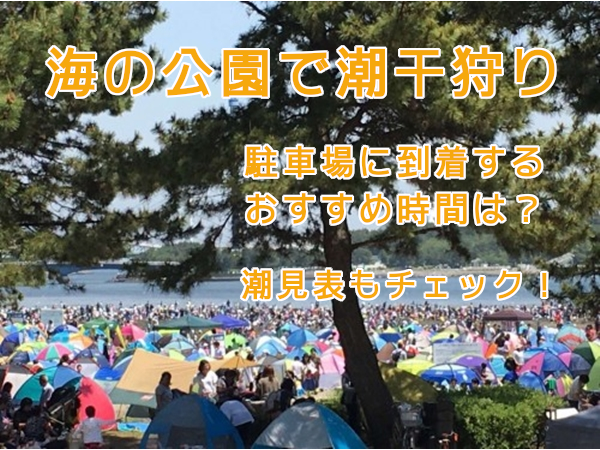 海の公園で潮干狩り 駐車場は何時に到着する 潮見表のチェックも くうねるわらうまま