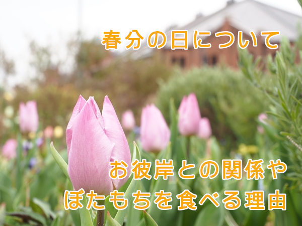 春分の日とは?春のお彼岸との関係やぼたもちを食べる理由