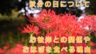 秋分の日とは?お彼岸との関係やおはぎを食べる理由