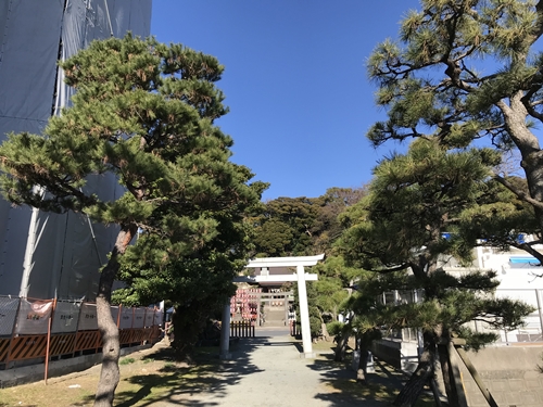 琵琶島神社から瀬戸神社を見る