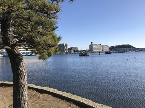 琵琶島神社の景色