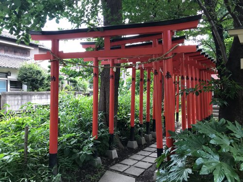 藤森稲荷神社の鳥居