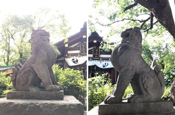 稲毛神社の狛犬