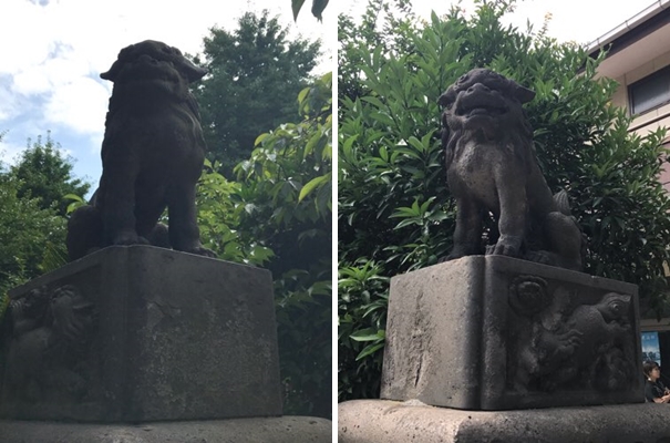 若宮八幡宮の狛犬