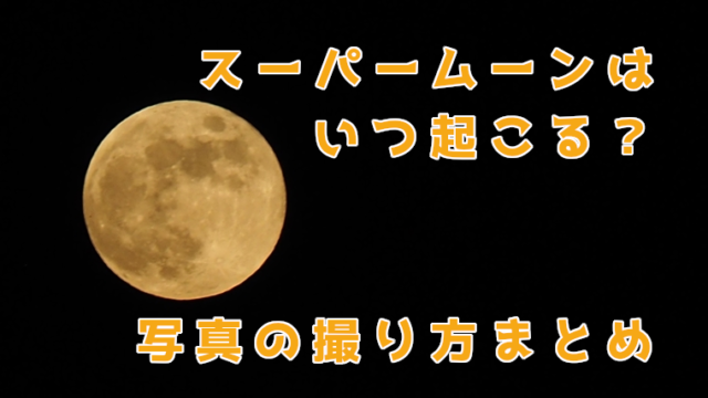 コミケ初心者の参加におすすめの時間は 初参加で注意することまとめ くうねるわらうまま